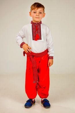 Шаровари сині і червоні
