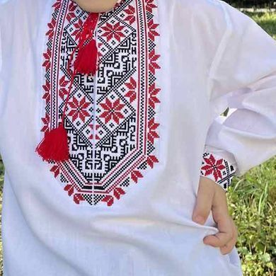 Дитяча вишиванка для хлопчиків "Максим" з Червоною вишивкою