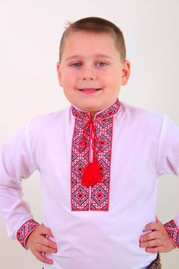 Вишиванка дитяча для хлопчика "Федір" з Червоною вишивкою