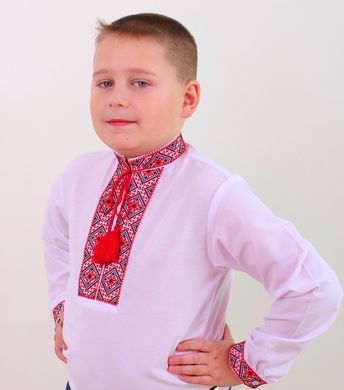 Вишиванка дитяча для хлопчика "Федір" з Червоною вишивкою