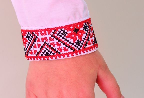 Вишиванка дитяча для хлопчика "Федір" з Червоною вишивкою
