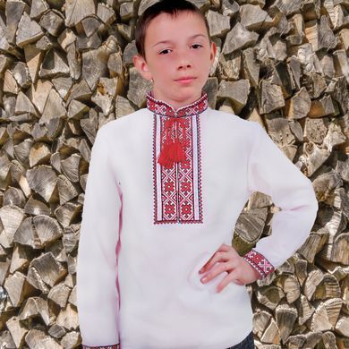 Вишиванка дитяча для хлопчика "Орест" з Червоною вишивкою