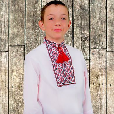 Вишиванка дитяча для хлопчика "Руслан" з Червоною вишивкою